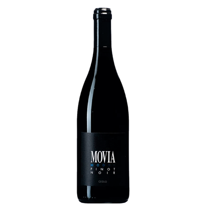 Modri Pinot Movia