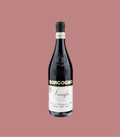 Langhe Ancum 2022 Borgogno Since 1761